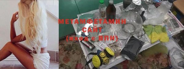 хмурый Белокуриха