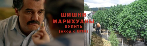 ГАЛЛЮЦИНОГЕННЫЕ ГРИБЫ Беломорск