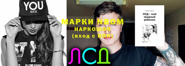 ГАЛЛЮЦИНОГЕННЫЕ ГРИБЫ Беломорск