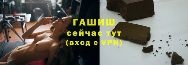 хмурый Белокуриха