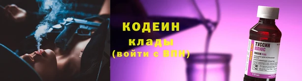 хмурый Белокуриха