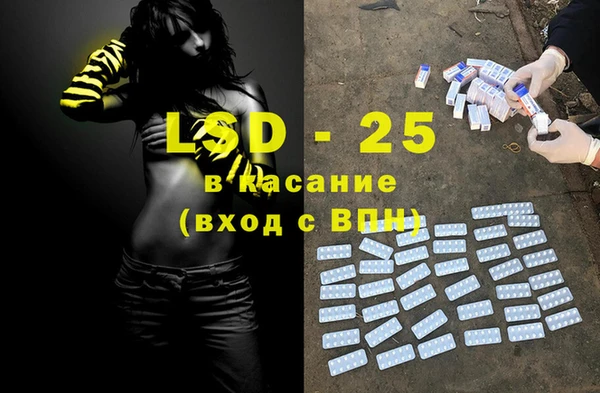 хмурый Белокуриха