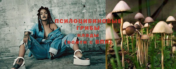 ГАЛЛЮЦИНОГЕННЫЕ ГРИБЫ Беломорск