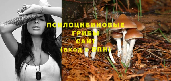 трава Зеленокумск