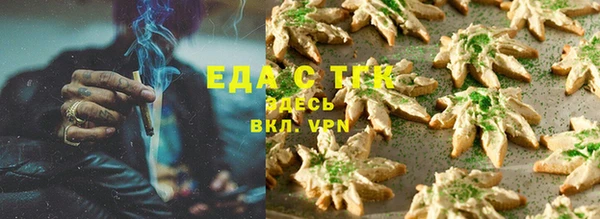 хмурый Белокуриха