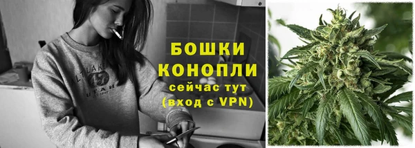 хмурый Белокуриха