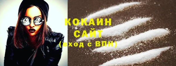 хмурый Белокуриха