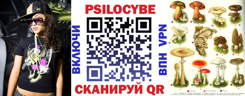 закладка  Валуйки  Псилоцибиновые грибы мухоморы 